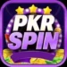 PKRSpin